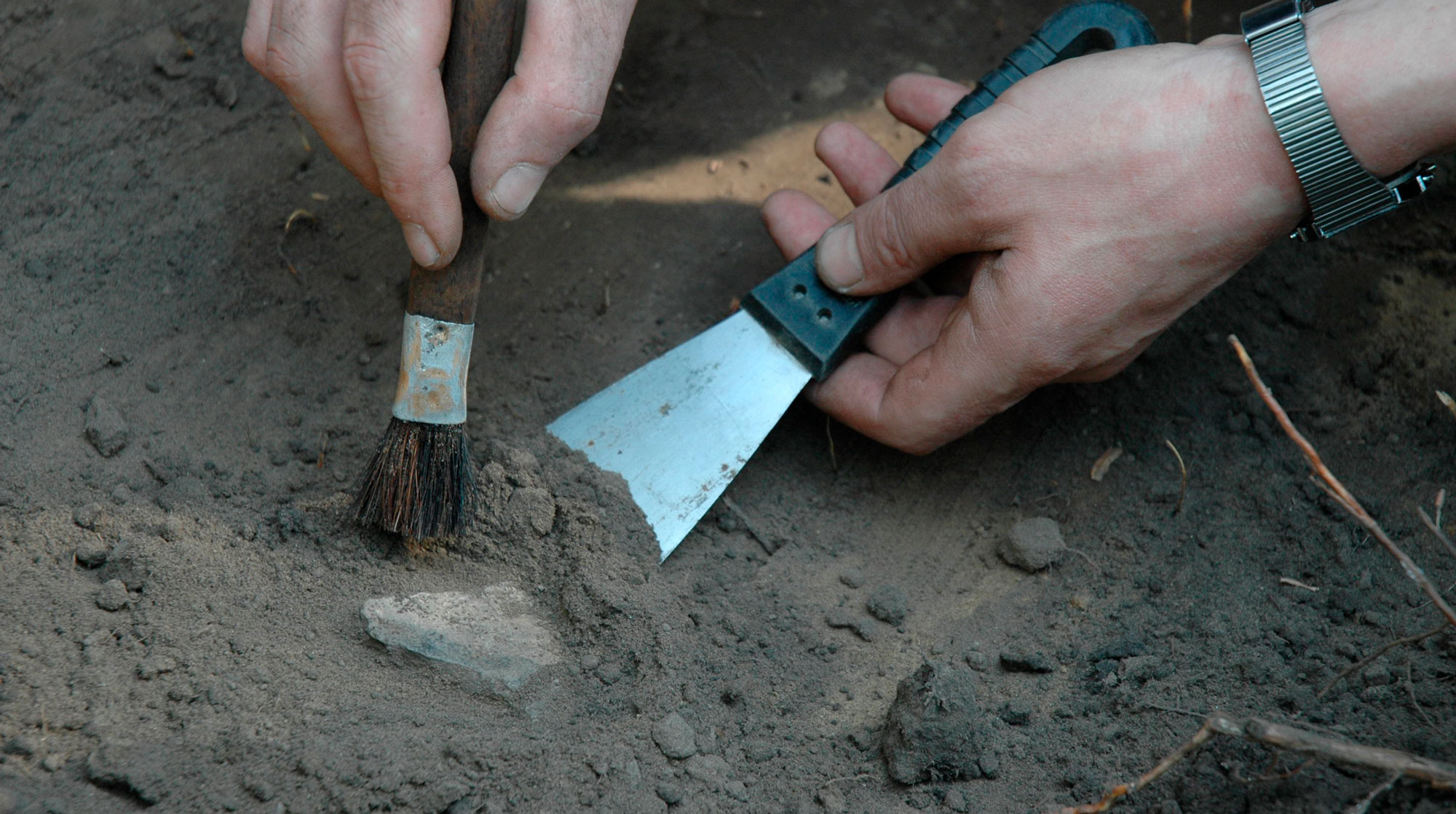 Найденным орудиям труда пять-семь тысяч лет undefined