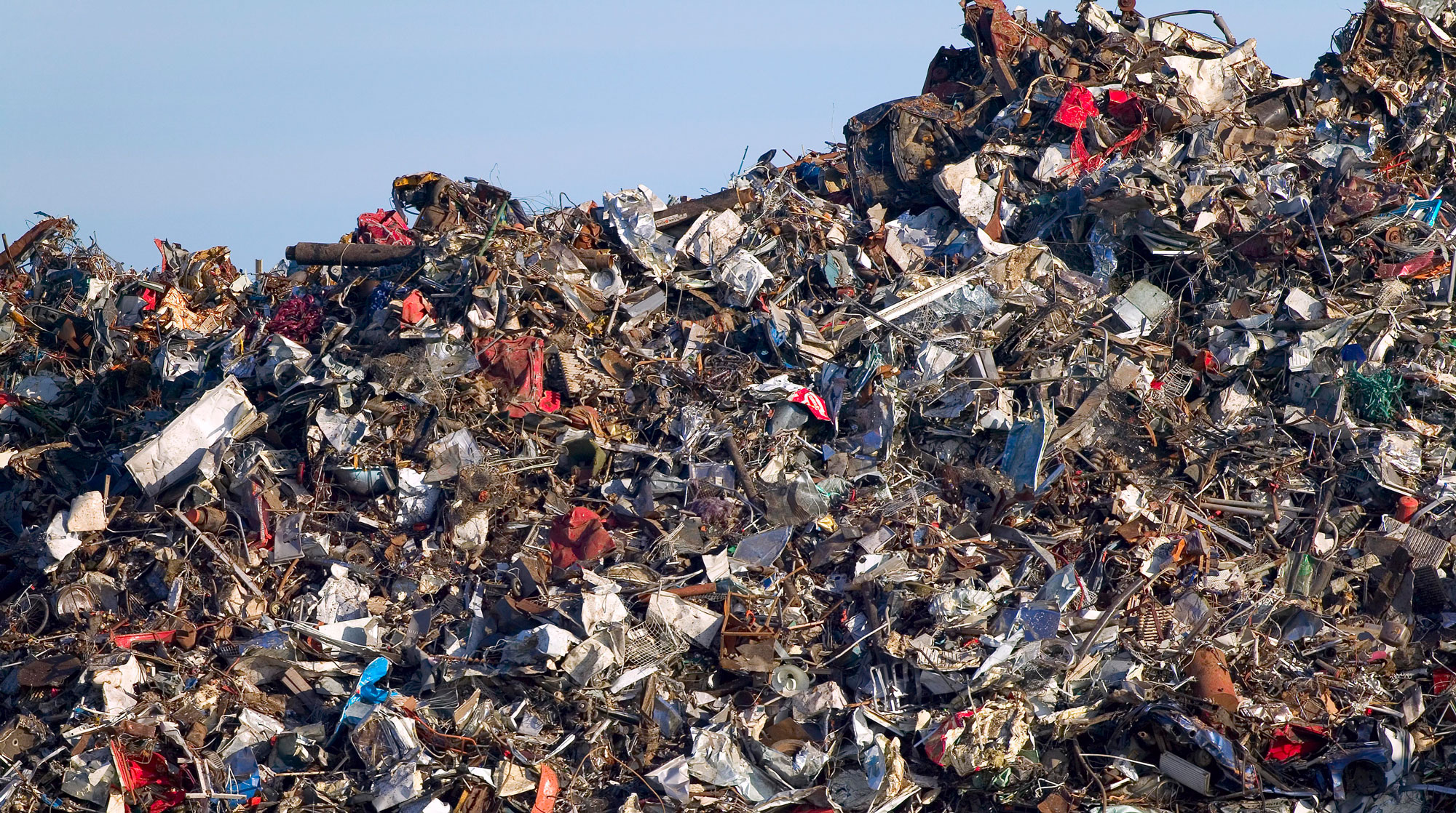 Экологический активист объяснила, что необходимо делать с огромным количеством скопившегося мусора undefined