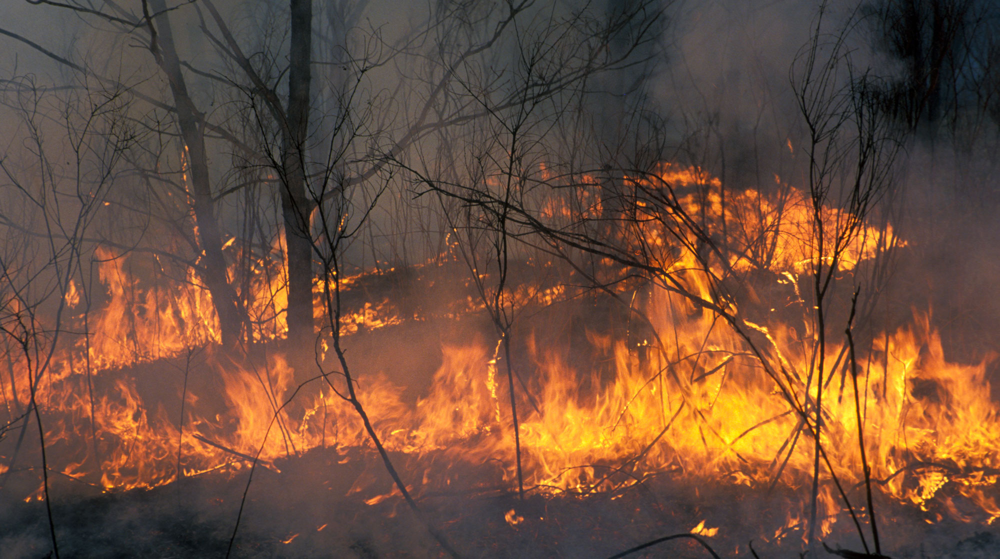 Эксперты считают, что возгорание могло быть спровоцировано undefined