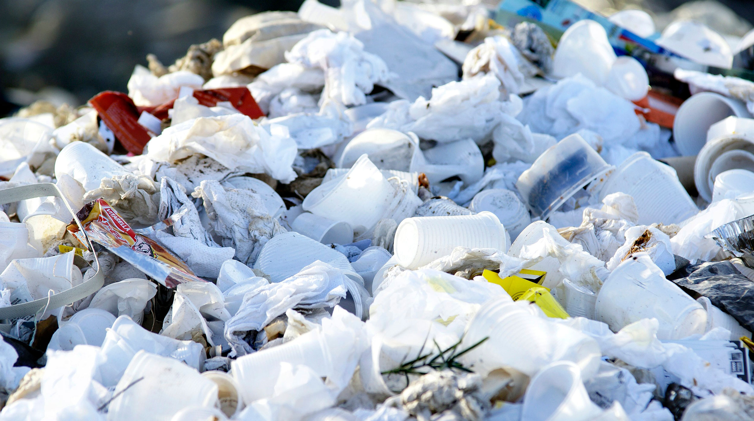 Правозащитники к осени сформируют рекомендации для президента по решению проблемы переработки отходов undefined
