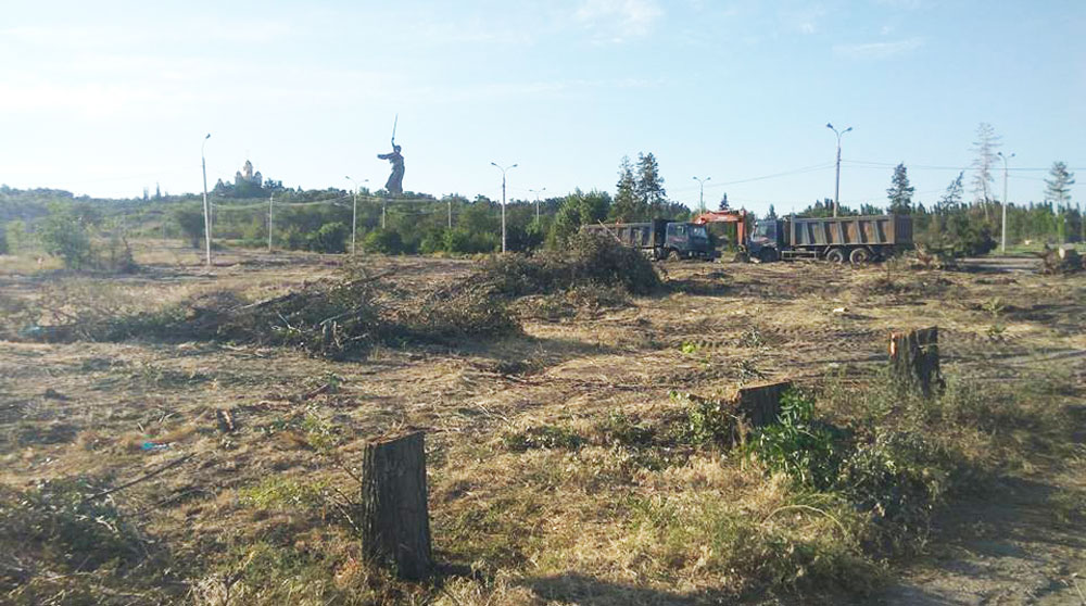 Чиновники распорядились вырубить все деревья в рамках реконструкции территории undefined