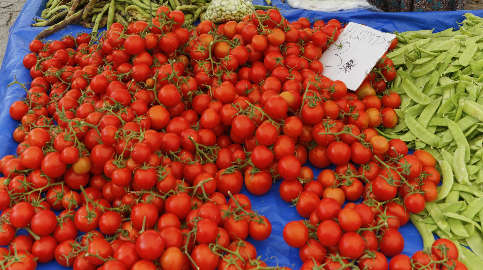 Dailystorm - Турция обещает ответить на запрет ввоза турецких томатов в Россию
