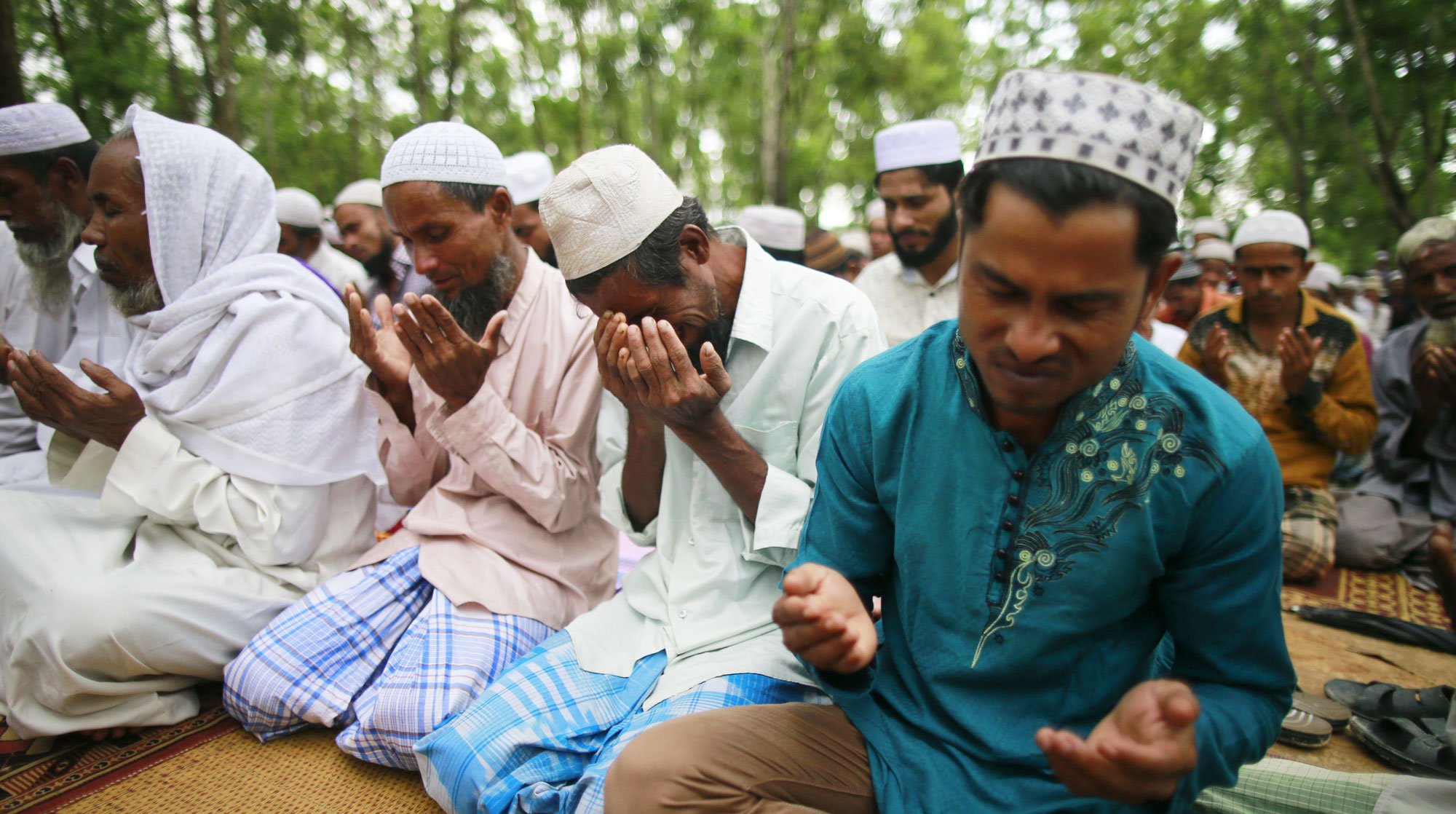 Dailystorm - В Дагестане мошенники собирают деньги на спасение мусульман в Мьянме