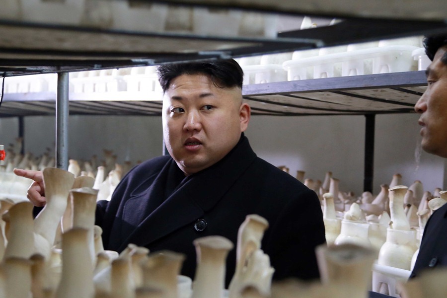 В ответ на санкции в стране заявили, что теперь Северная Корея ускорит развитие ядерной программы undefined