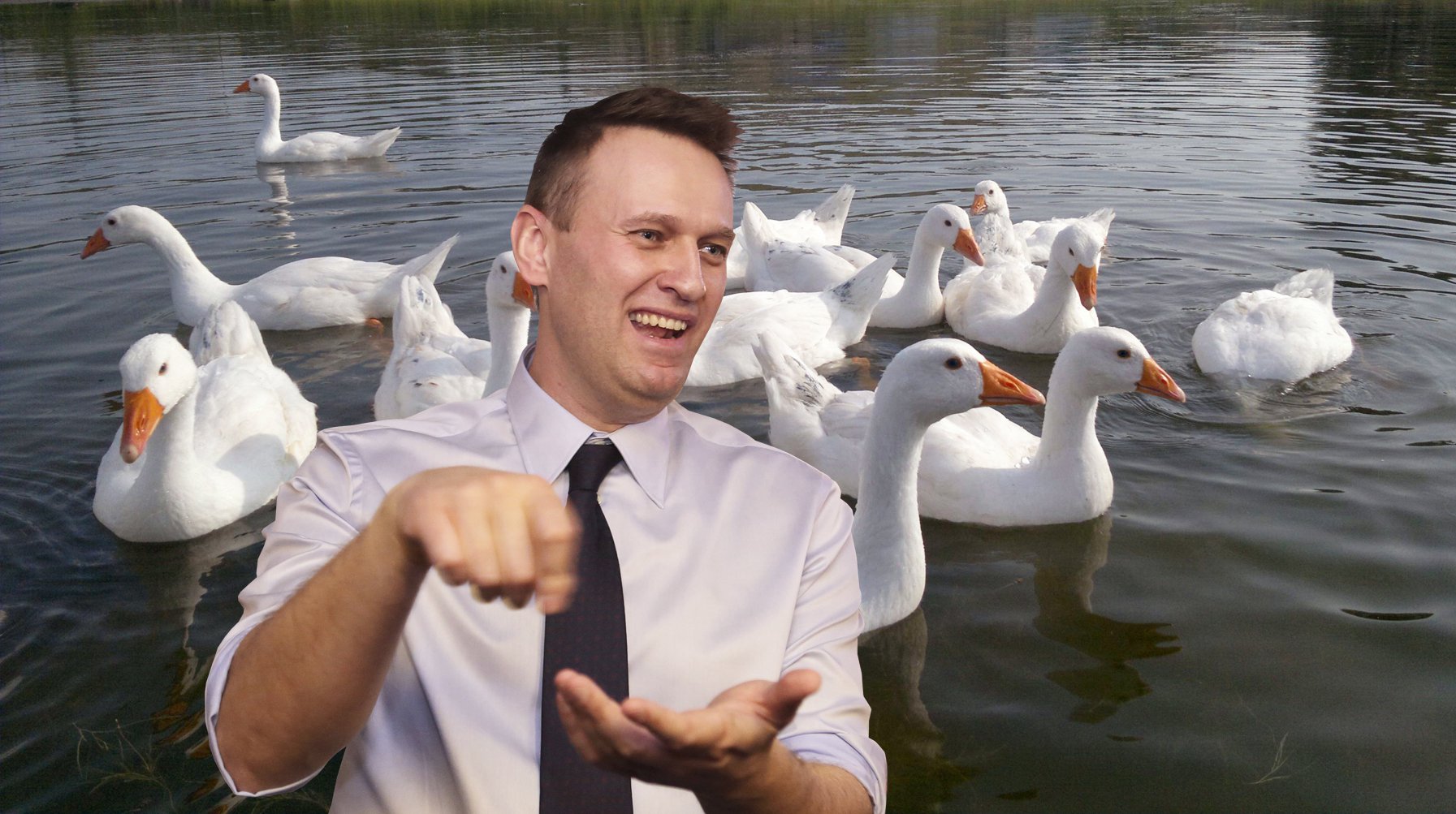 Dailystorm - Навальному все как с гуся вода