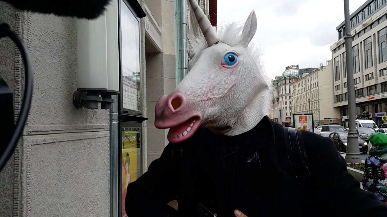 Dailystorm - «Одни большие скачки»: «лошадь» устроила акцию на пресс-конференции Собчак