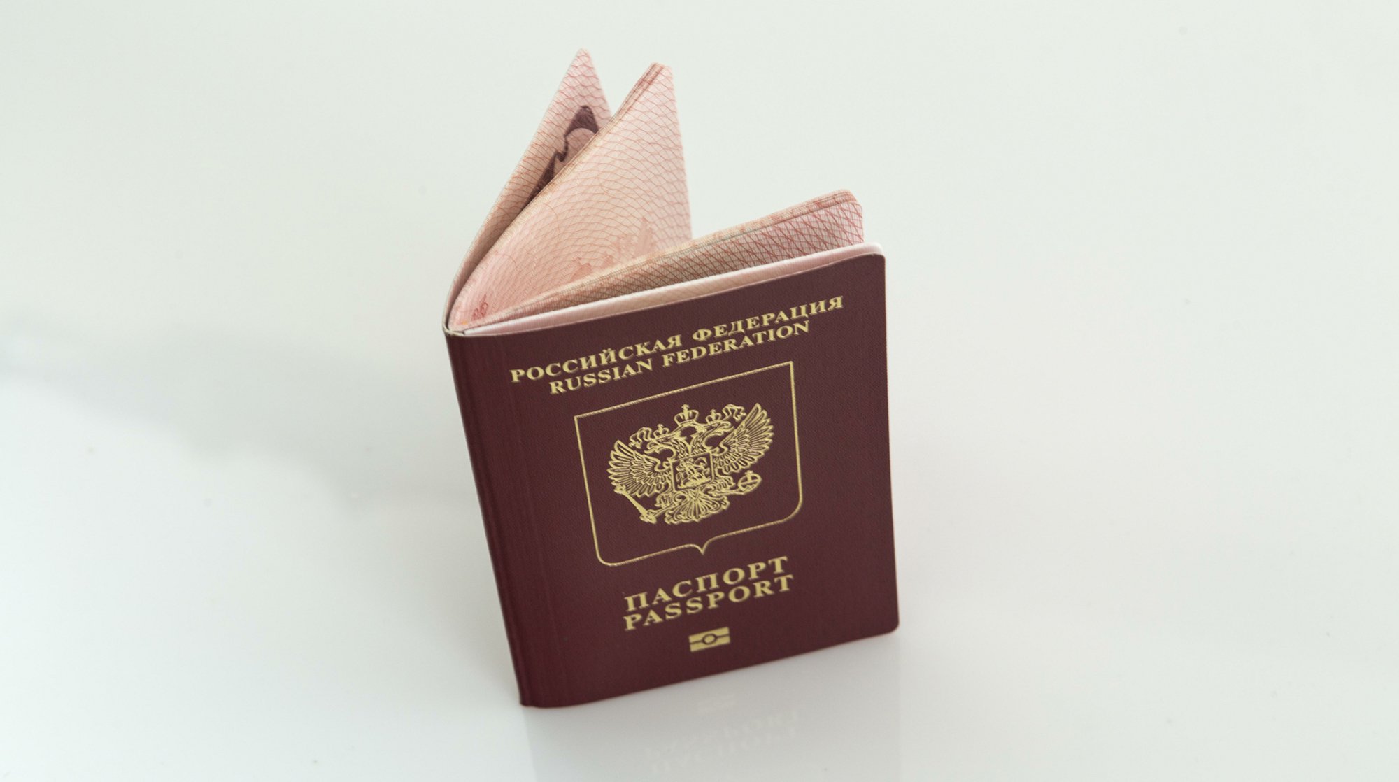 Dailystorm - Россияне смогут зафиксировать в паспорте отказ от посмертного изъятия органов