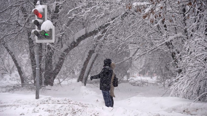 Dailystorm - От рекордного снегопада в Москве страдают люди и деревья