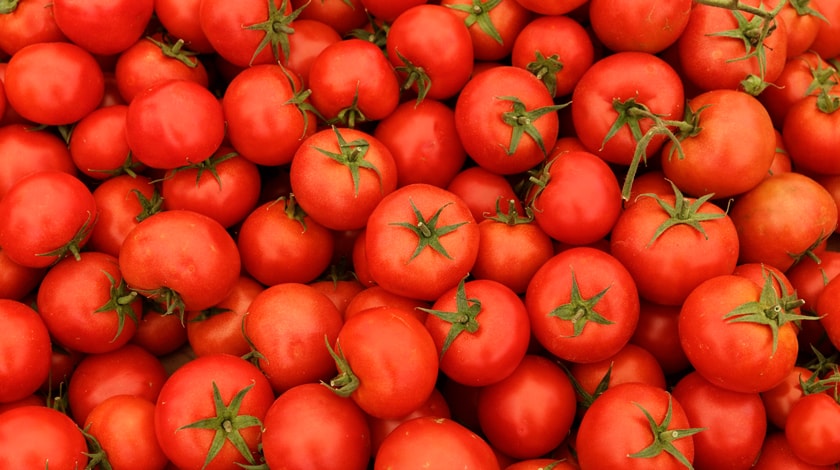 Ткачев заявил, что россияне привыкли к отечественным овощам за время томатного эмбарго Фото: © GLOBAL LOOK press