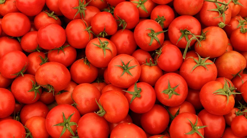 Dailystorm - Минсельхоз РФ: В России упал спрос на турецкие помидоры