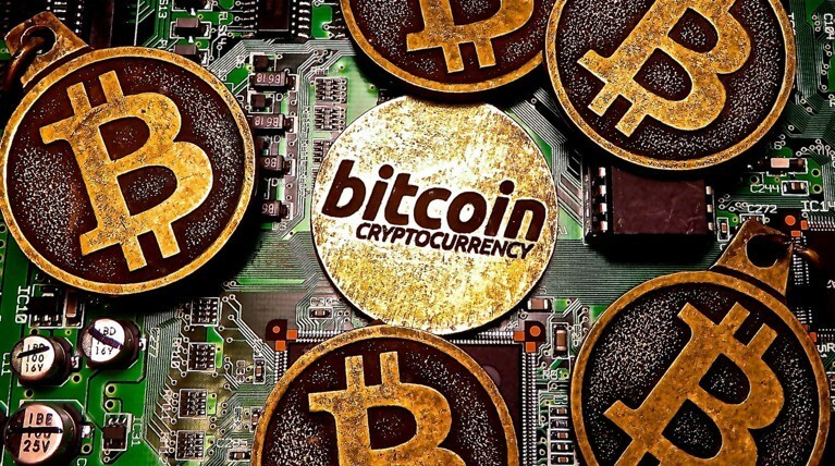Россия на ICO: креветочные фермы и доли в заводах — Daily Storm