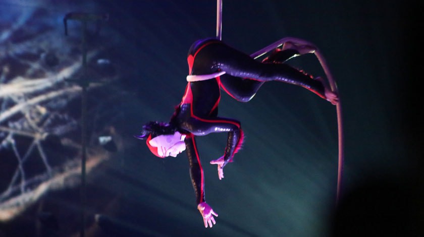 Фото: © Пресс-служба Cirque du Soleil