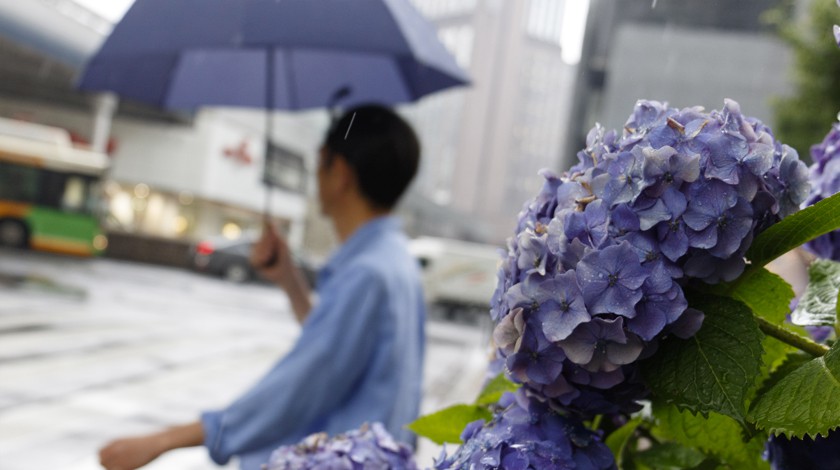 Dailystorm - Япония выразила сожаление из-за прокладки оптоволокна на Курилы