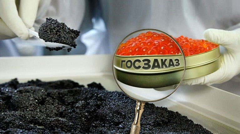 Черная vs красная. Кто в России тратит миллионы рублей на госзакупки икры? — Daily Storm