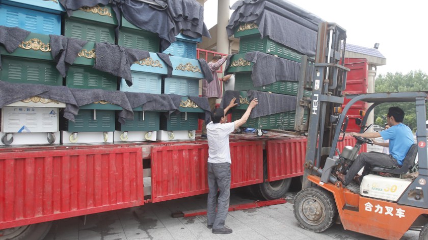 Dailystorm - «Только кремация»: в Китае конфискуют гробы и запрещают похороны