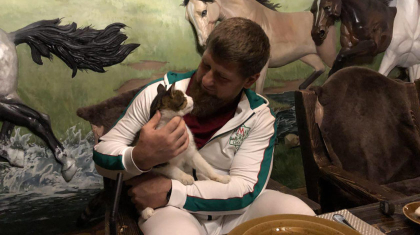 Глава Чечни забрал к себе питомца на открытии приюта для бездомных животных в Грозном в 2016 году undefined