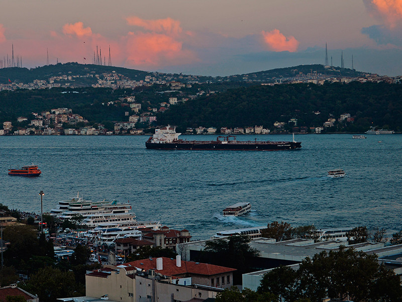 Команда несколько месяцев не получает зарплату, судно с 11 июня стоит на рейде в проливе Босфор Фото: © GLOBAL LOOK press