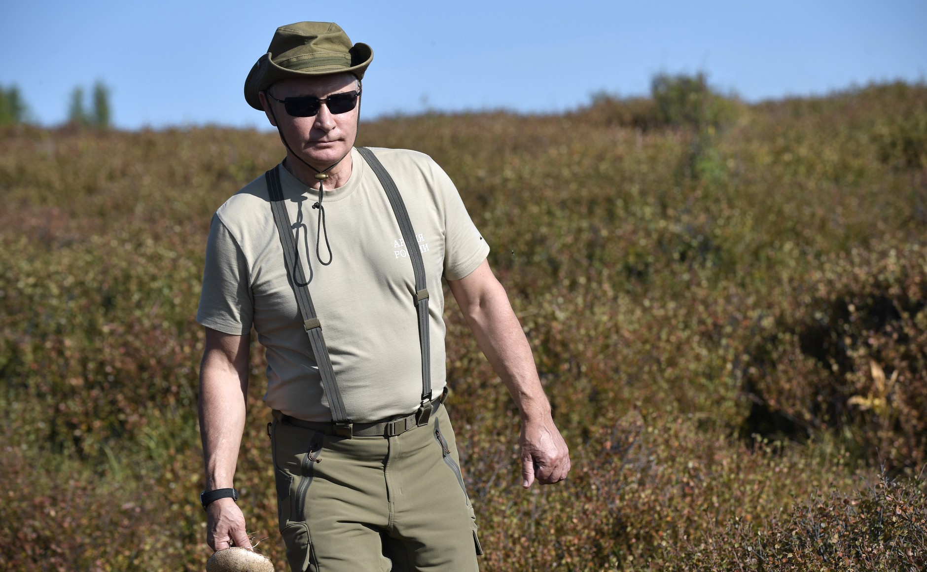 Dailystorm - Появились фото и видео с отдыха Путина в горах