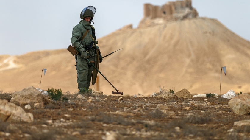 Основная проблема ликвидации минных полей в демилитаризованной зоне — потеря их карт и самопроизвольное перемещение мин Фото: © GLOBAL LOOK press