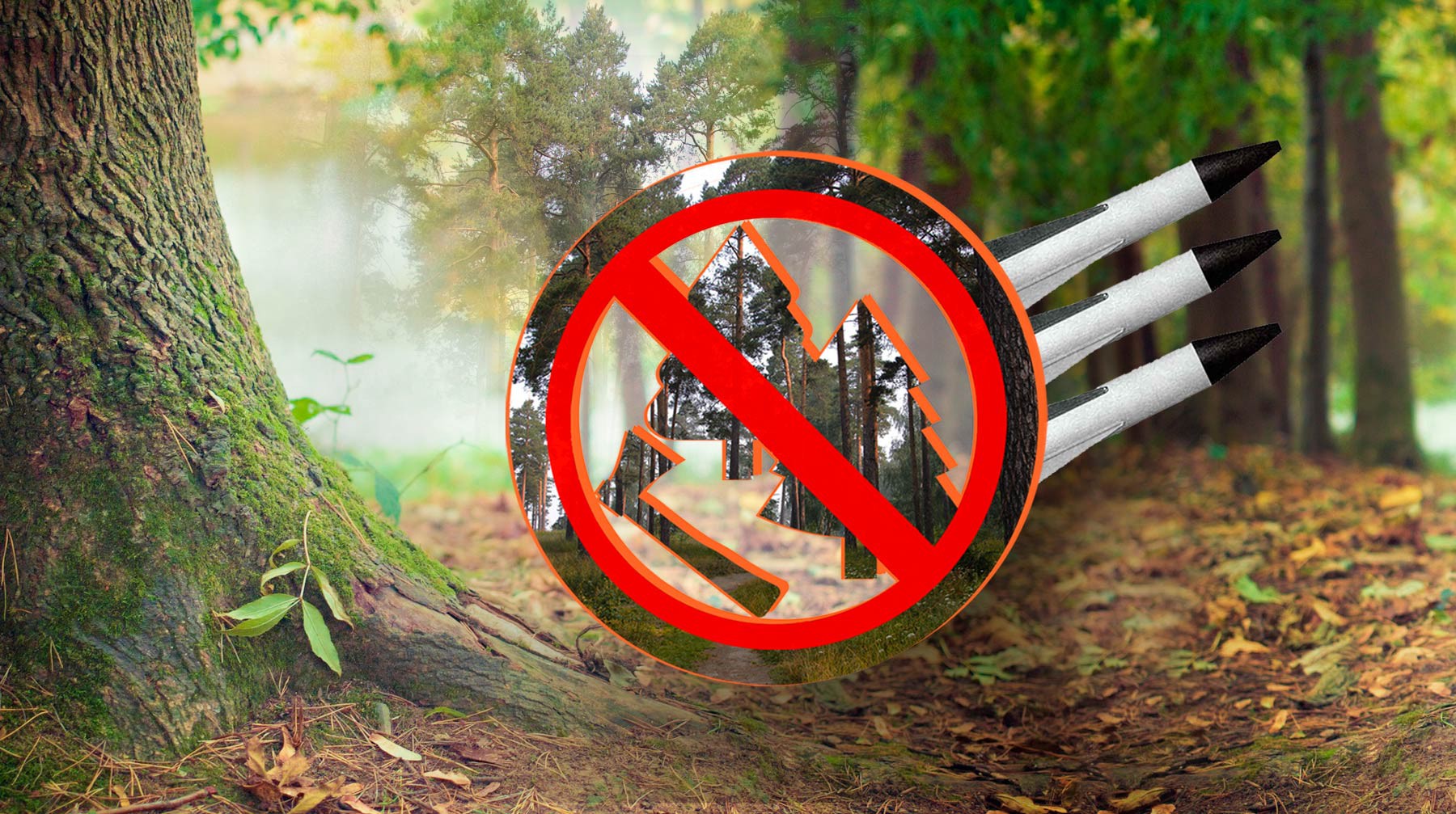 Dailystorm - В Подмосковье предприниматель вырубает лес рядом с зенитно-ракетным дивизионом для строительства дач