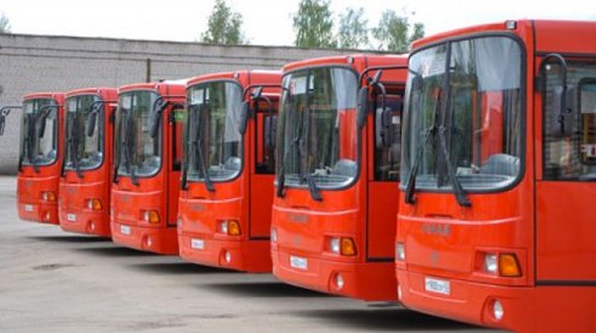 Dailystorm - В России резко выросло число ДТП по вине водителей автобусов