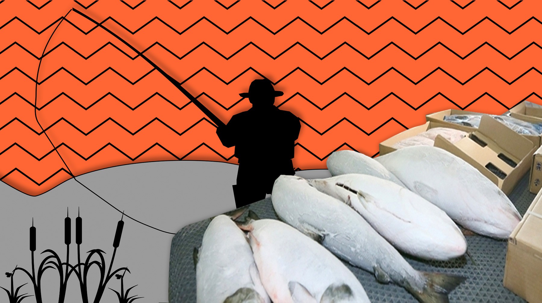 Dailystorm - Не хлебом единым: муж саратовского экс-министра по макарошкам и кефиру владеет рыбзаводом