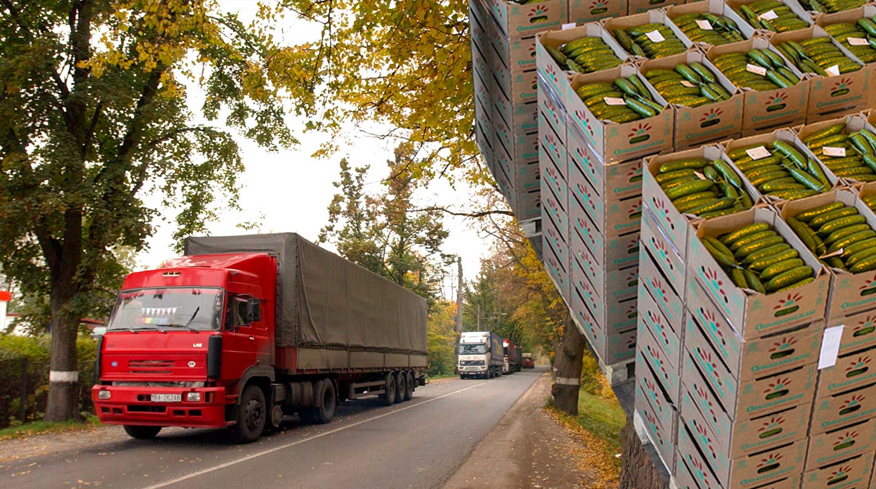 Логистические и торговые компании просят городские власти приостановить действие новых правил передвижения грузовиков по столице Коллаж: © Daily Storm
