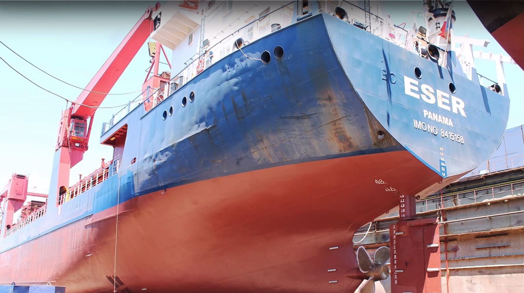 Dailystorm - В Российском профсоюзе моряков рассказали, как можно помочь задержанным в Кабо-Верде