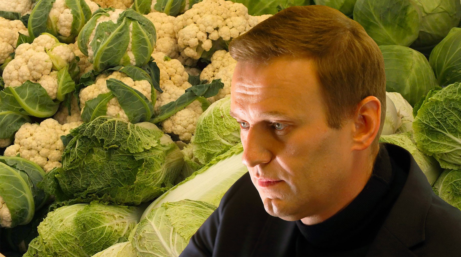 Dailystorm - Суд обязал Навального удалить расследование о поставках овощей Росгвардии