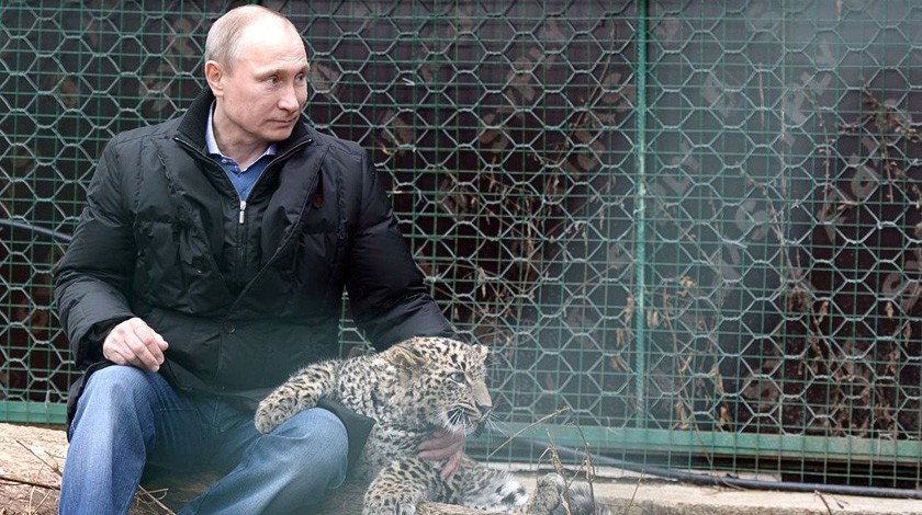 Президент России Владимир Путин посетил Центр разведения и реабилитации переднеазиатского леопарда