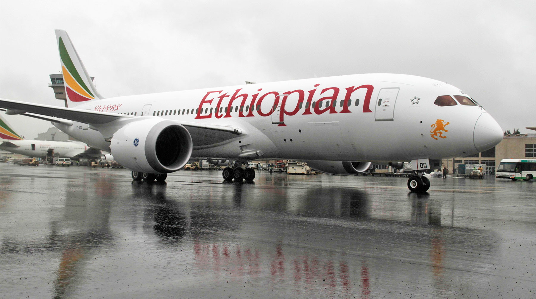 Ранее в посольстве РФ в Кении заявляли, что на борту Boeing 737 не было граждан России Самолет Boeing 737 Ethiopian Airlines