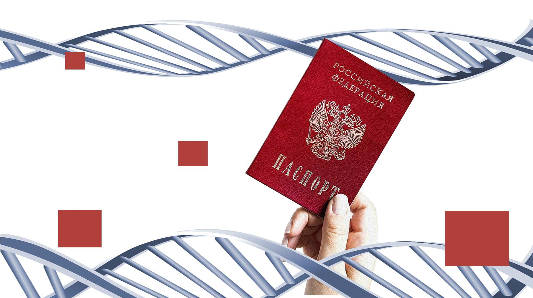 Dailystorm - У россиян будут собирать для паспортизации генетический материал. Как его используют в других странах?