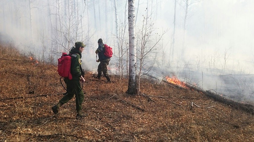 Добровольные лесные пожарные на тушении