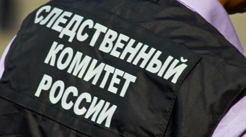 Добровольцы обнаружили в Новгородской области останки жертв карательных операций фашистов undefined