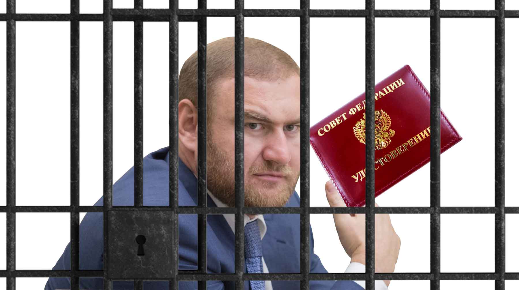 Сенаторский пост арестованного парламентария займет один из представителей Черкесии Коллаж: © Daily Storm