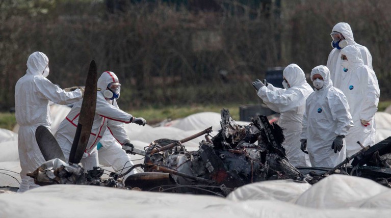 Власти Германии опубликовали показания свидетелей катастрофы самолета с Филевой — Daily Storm