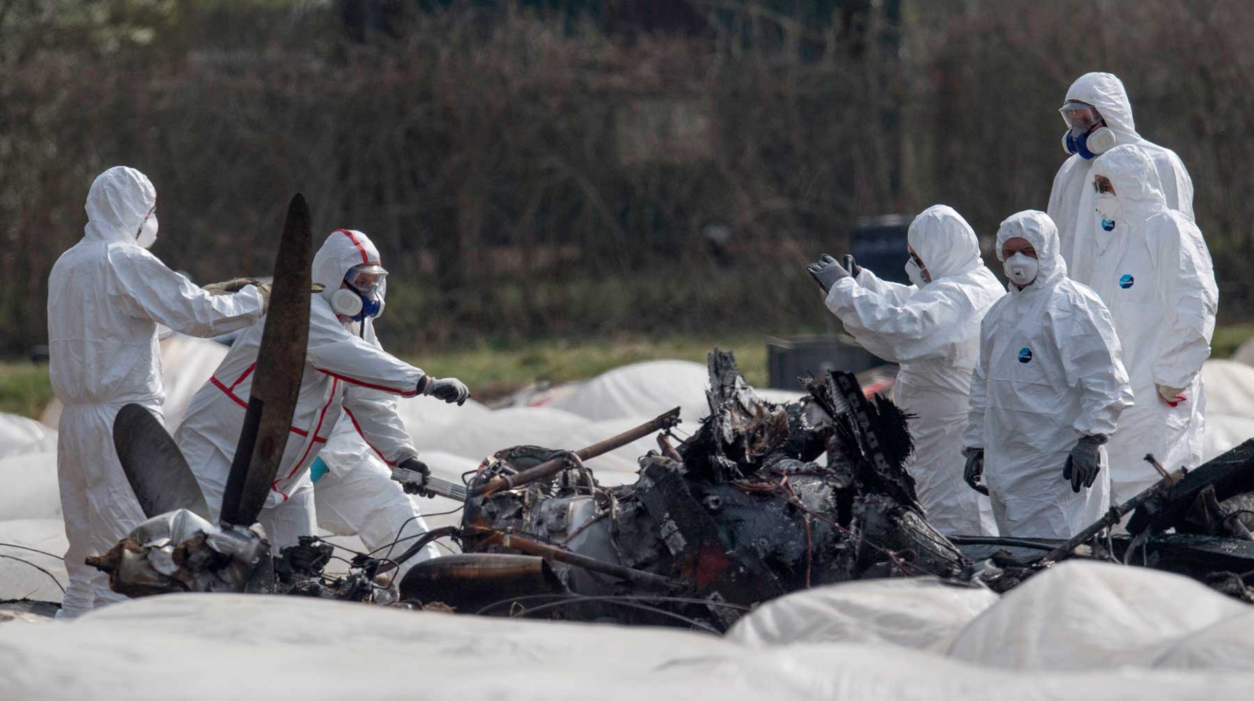 Dailystorm - Власти Германии опубликовали показания свидетелей катастрофы самолета с Филевой