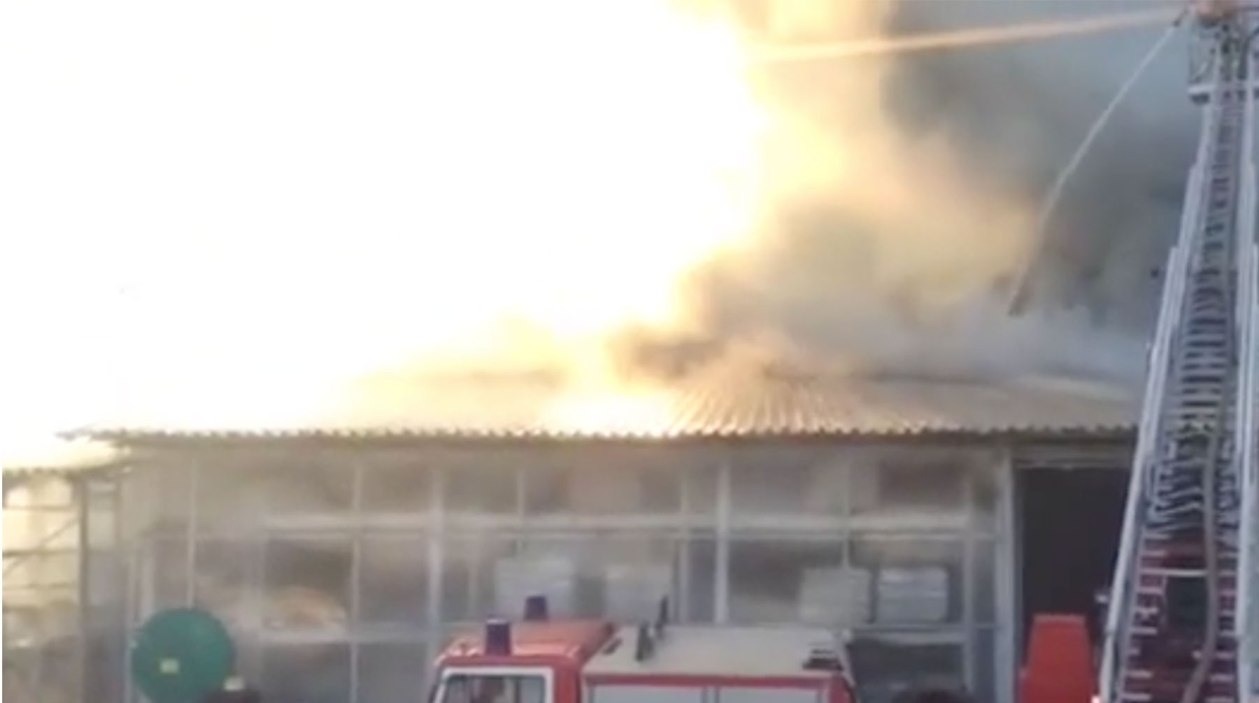 Dailystorm - В Петербурге локализовали крупный пожар на складе стройматериалов — видео