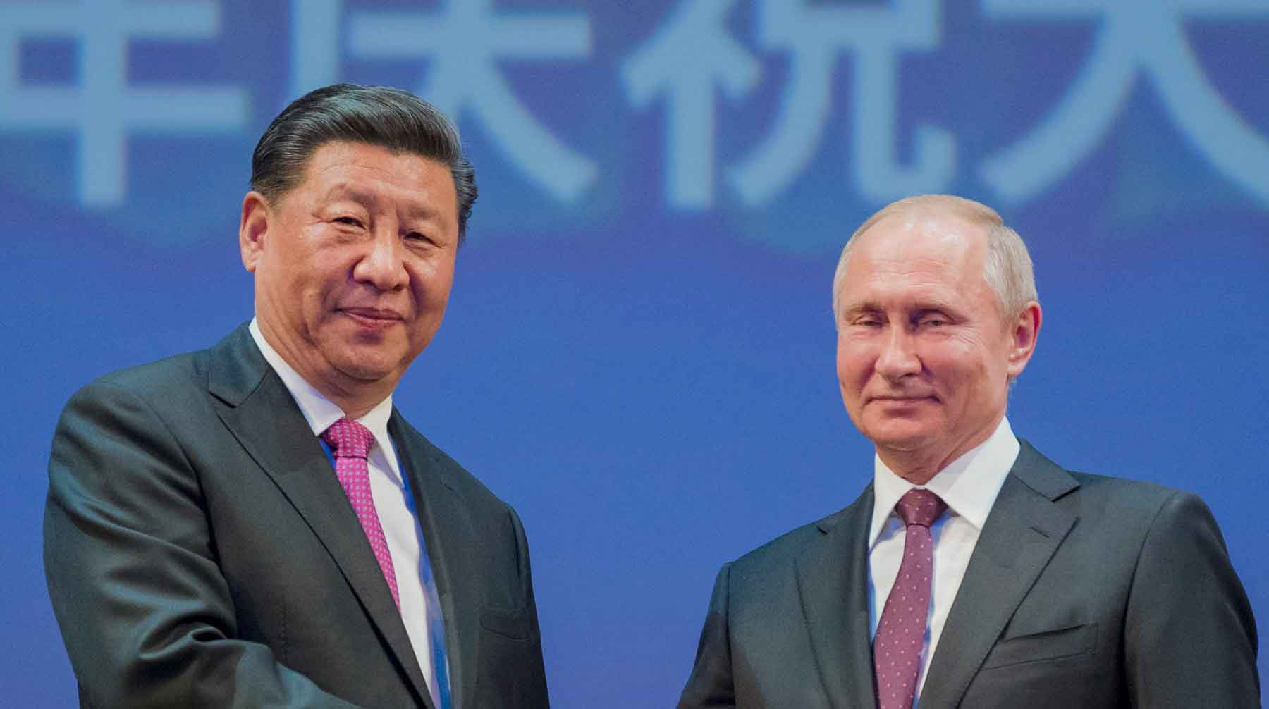 Президент России улыбнулся при виде бамбуковых медведей, которых Китай передал России Фото: © GLOBAL LOOK press / Xinhua