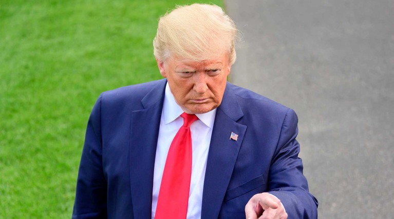 Трамп подтвердил встречи с Путиным и Си Цзиньпином на саммите G20 — Daily Storm