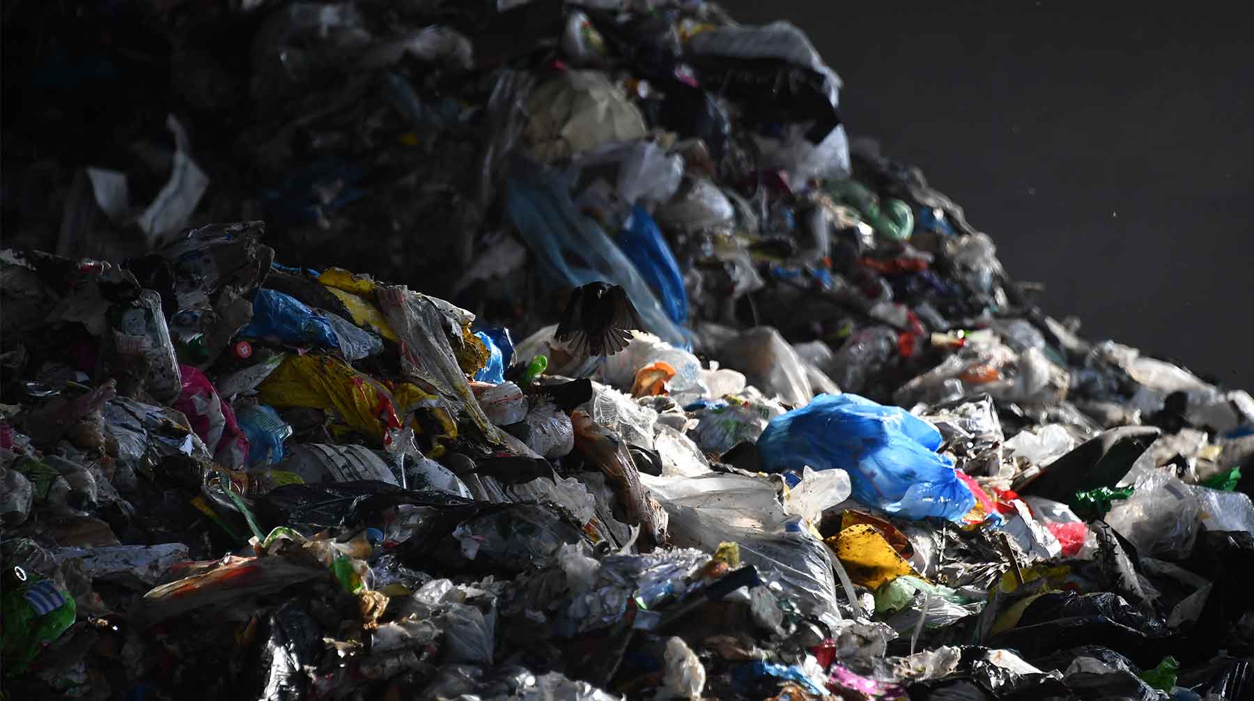 Президент подчеркнул, что огромная масса отходов скапливается из-за «общества потребления» Фото: © GLOBAL LOOK press / Komsomolskaya Pravda