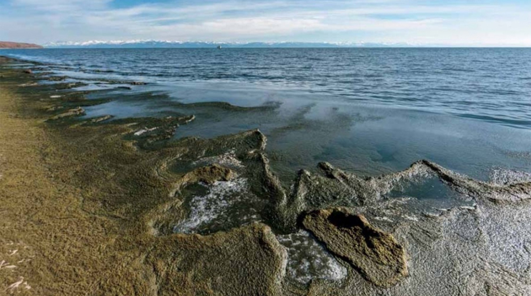 Dailystorm - Зеленые воды Байкала: глобальное потепление, сточные воды и ЦБК сделали озеро токсичным