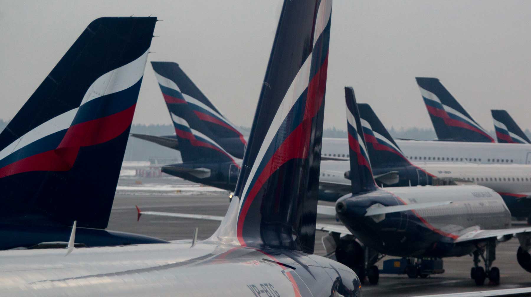 В авиакомпании обещают перенаправить пассажиров на рейсы других перевозчиков Фото: © GLOBAL LOOK press / Leonid Faerberg