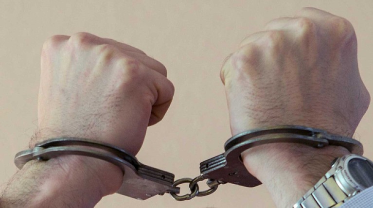 В Москве арестован подозреваемый в измене Родине — Daily Storm
