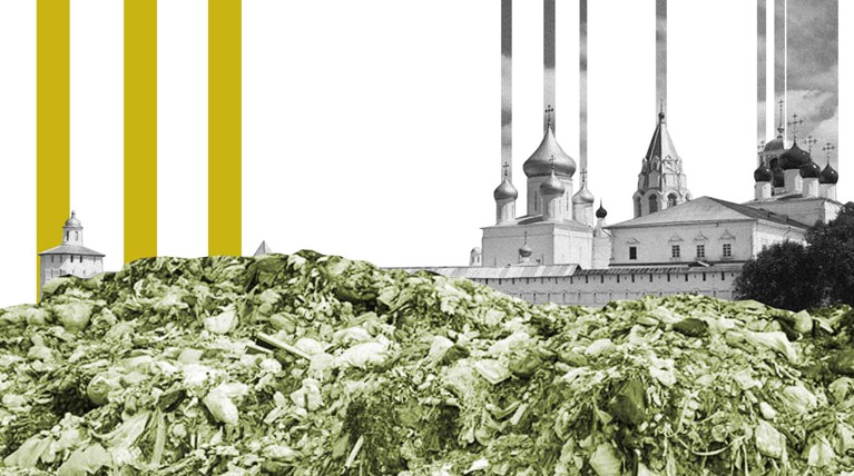 150 гектаров земли, три мусорные компании и один полигон ТКО: история о том, что построят вблизи Переславля-Залесского — Daily Storm