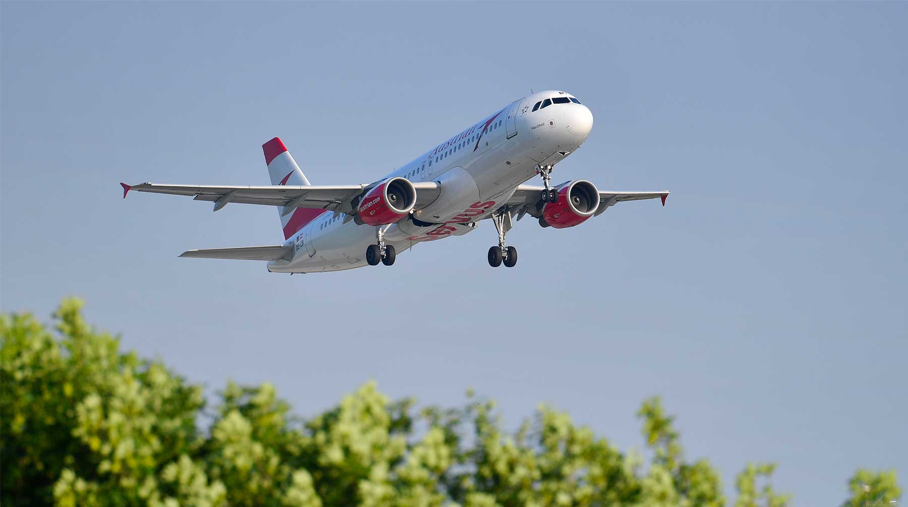 До введения запрета прямые рейсы между странами выполняли шесть российских и два грузинских авиаперевозчика Фото: © GLOBAL LOOK press / FrankHoermann