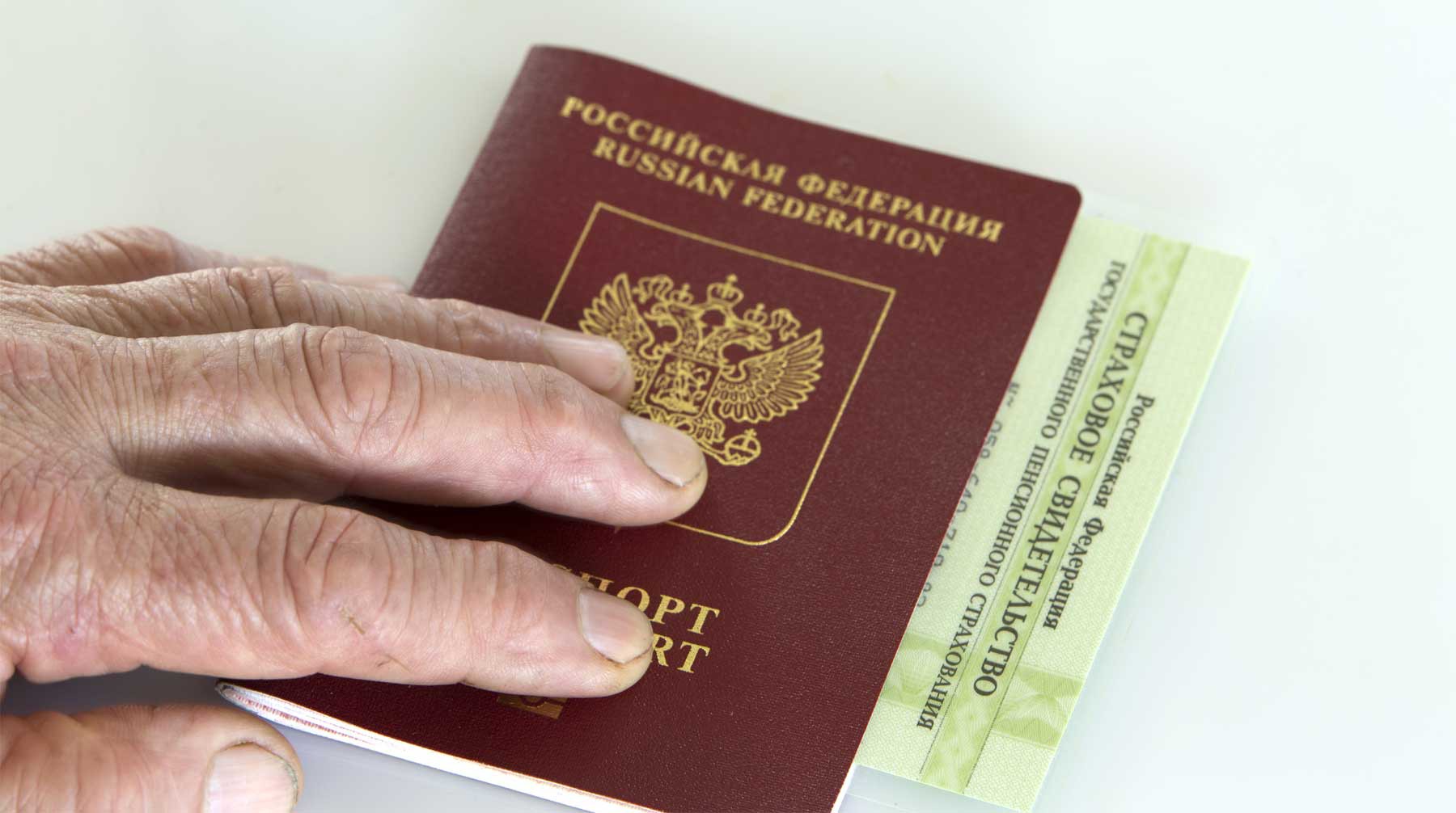 Dailystorm - Бумажные паспорта заменят электронными в 2022 году