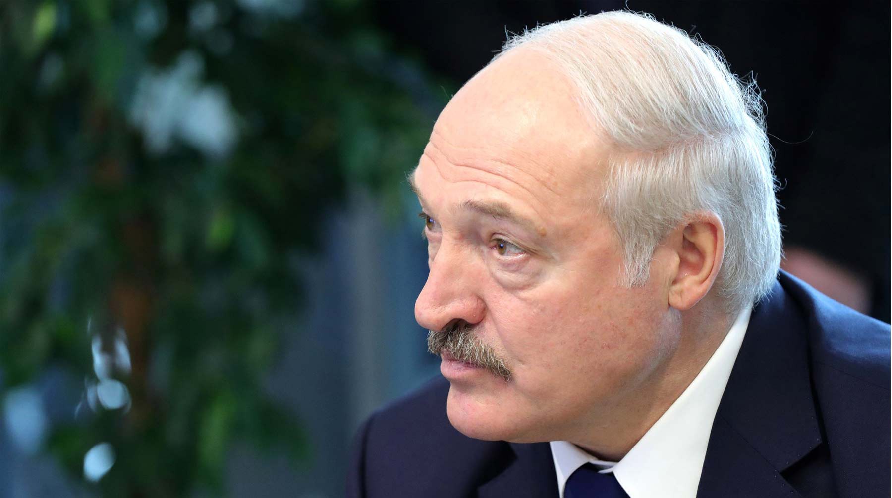 Dailystorm - «Это я еще по-хорошему»: Лукашенко пригрозил посадить правительство в тюрьму из-за падежа скота