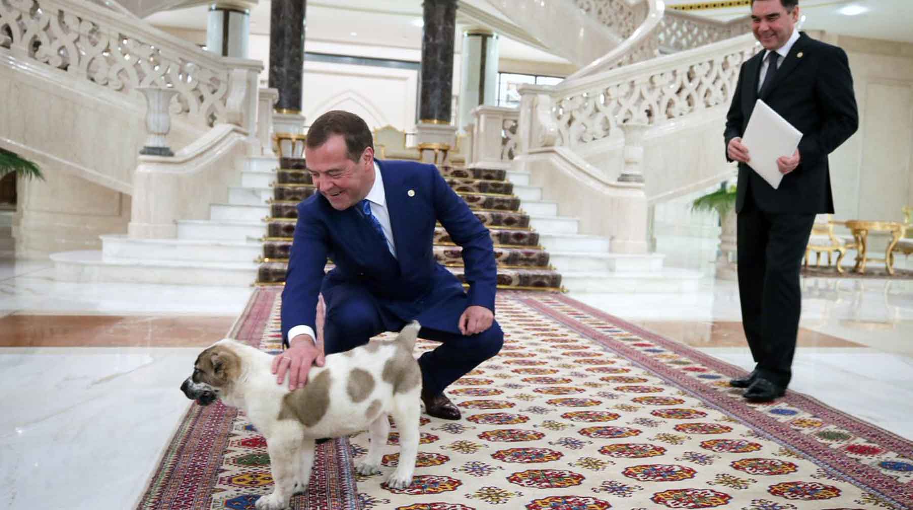 Премьер опубликовал видео, на котором щенок гуляет по территории резиденции в Горках и бегает по одному из залов заседаний Фото: © GLOBAL LOOK Press