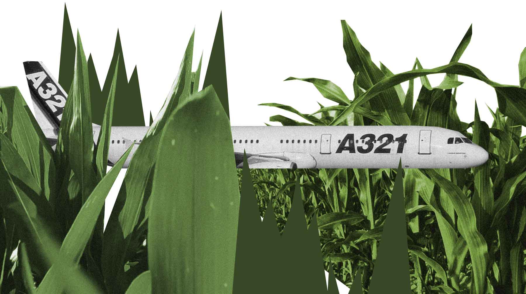 Каждый из них 15-летний Airbus A321 пережил без последствий для пассажиров и экипажа Коллаж: © Daily Storm